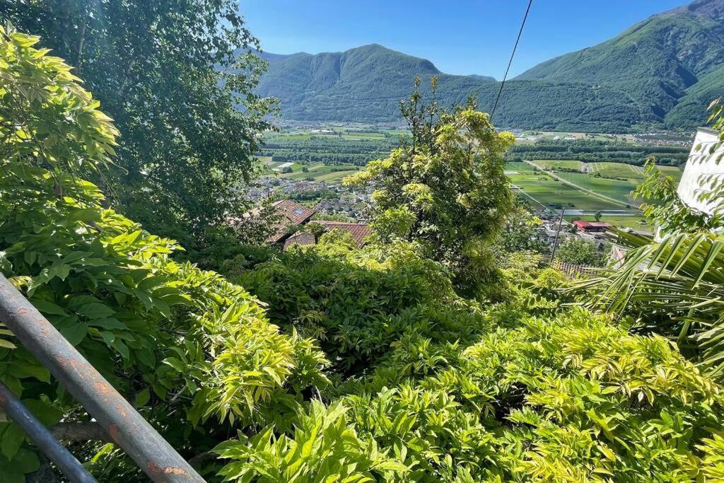 Un Sogno Nella Natura Villa Agarone Eksteriør billede